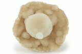 Fascinating Cave Calcite Mushroom Stalactite - Wenshan Mine #223548-2